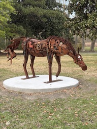 Horse_Bowling Horse_Bowling